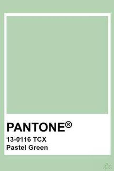 Organic Extra Long Slim T-shirt (Pastel Green)