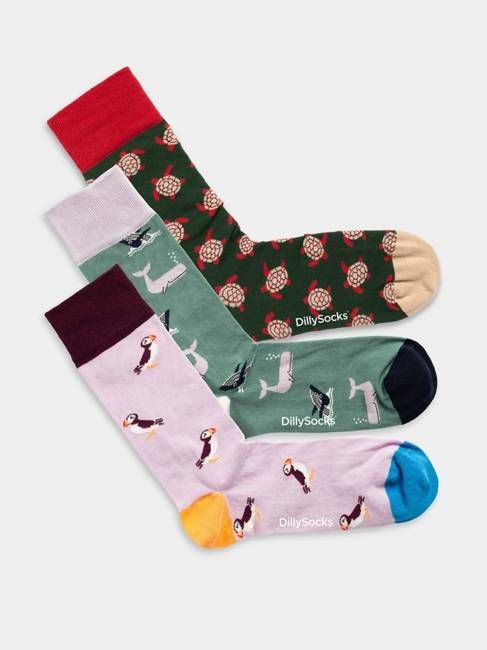 Ocean Enthusiasts (3-pack)