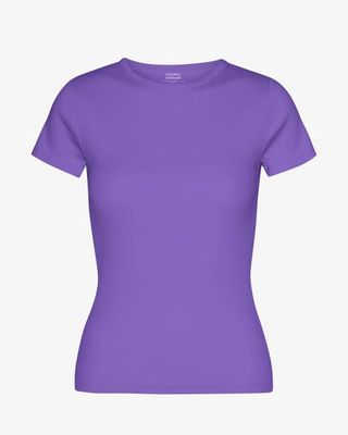 Organic Rib T-Shirt - Ultra Violet