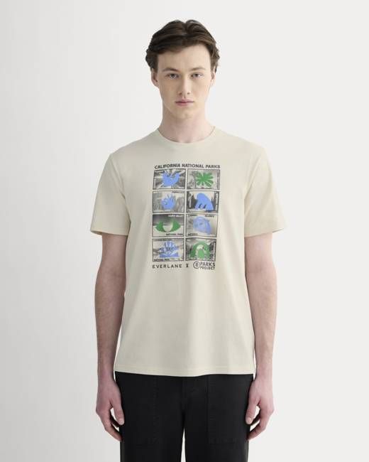 The Everlane x Parks Project Essential Organic Crew | Forged Iron / Birch / Granada Sky Blue / Green