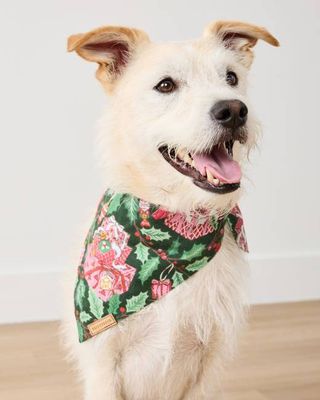 Holly Gifts - Lightweight Flannel Pet Bandana - Garland