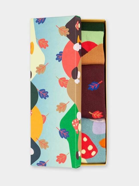 Fall Wonders (Box of 3)