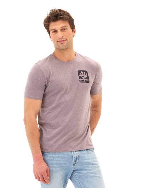 Triblend Graphic Tee