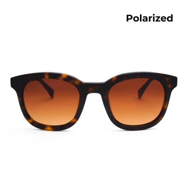 Meander Audrey - Polarized