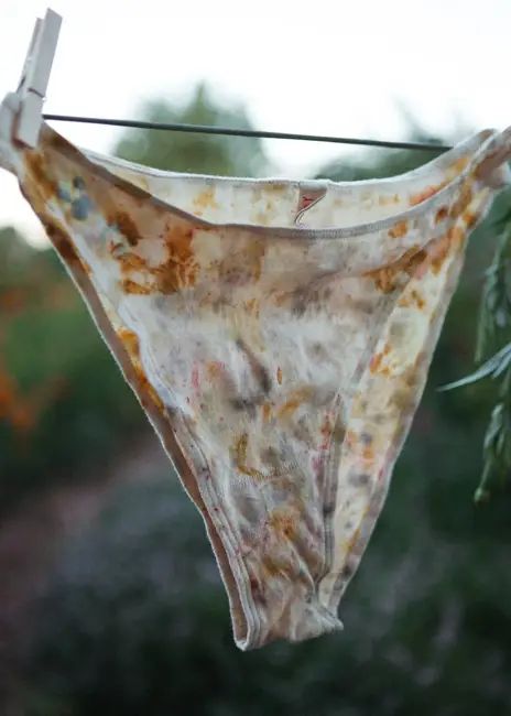 FLOWER FRENCH CUT — PANSY