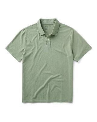 The Cotton Hemp Polo in Sage