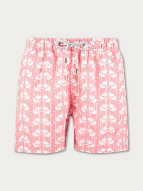 Men's Necks of Necker Staniel Swim Shorts