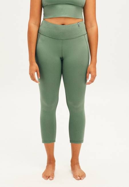 AMBAA | rosemary green