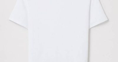 White T-Shirt | Organic Cotton Crewneck | Asket