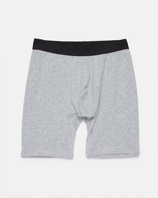The 5" Boxer Brief