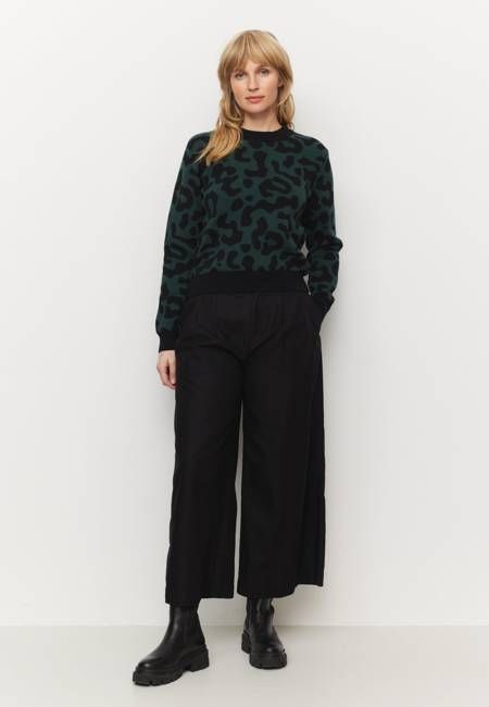 Recolution Pistia Leo