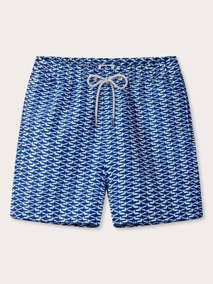 Men's Shark Island Staniel Swim Shorts