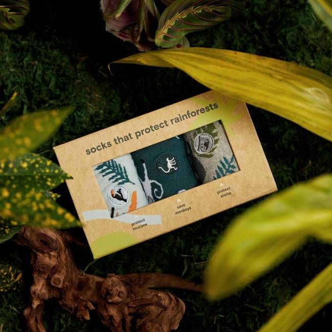 Protect Rainforests Gift Box