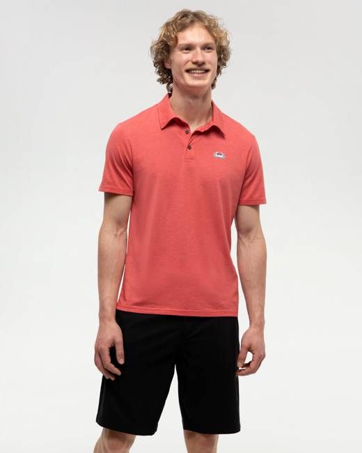 Crabby Astir Polo