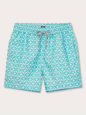 Men's Dolphin Delirium Staniel Swim Shorts