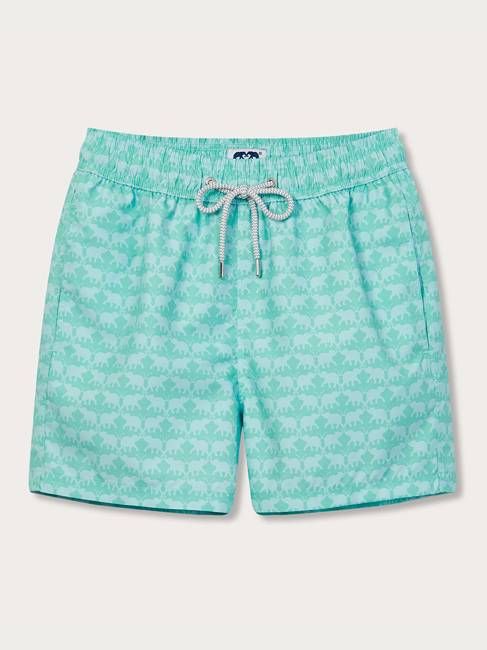 Men's Elephant Dance Mint Staniel Swim Shorts