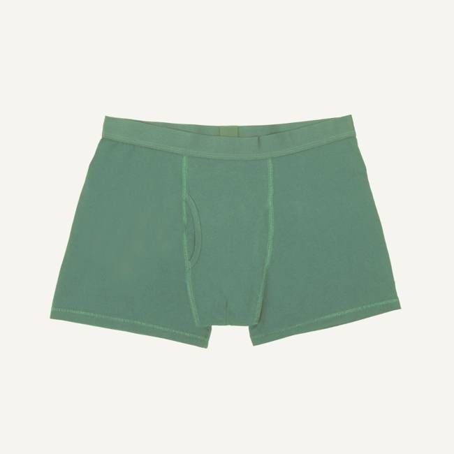 Organic Cotton Men's Boxer Brief in Willow