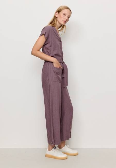 Recolution Dianella