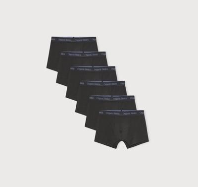 Core Trunks 6-Pack