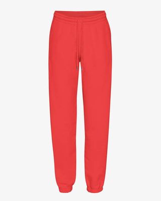 Organic Sweatpants - Red Tangerine