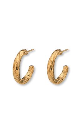 Archaic Small Hoop Earrings Gold