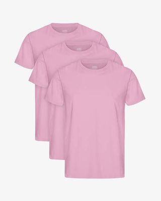 Classic Organic Tee - Cherry Blossom (3-Pack)