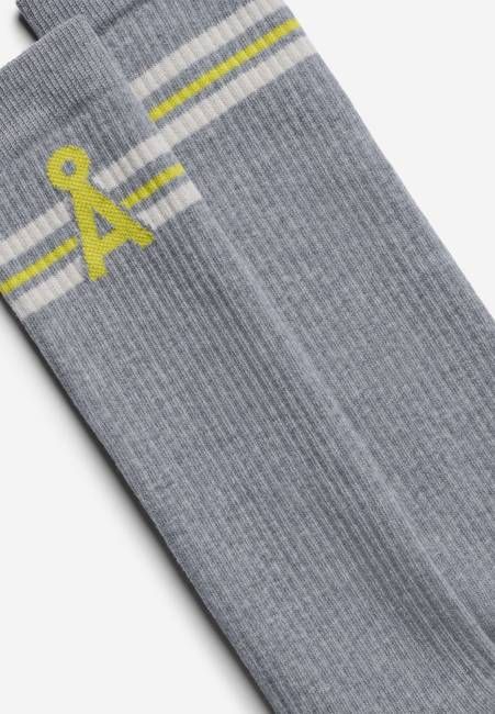 CAARLO STRIPES SOCKS | silver melange