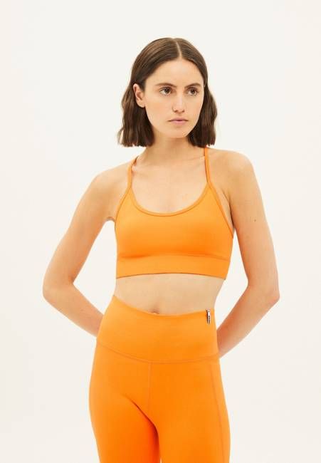 SAATYA| apricot