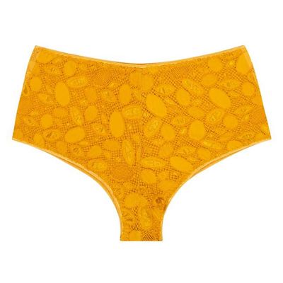 Hipster - Cassiopée Lace - Gold Sunflower