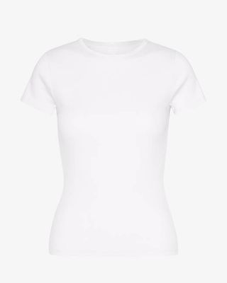 Organic Rib T-Shirt - Optical White