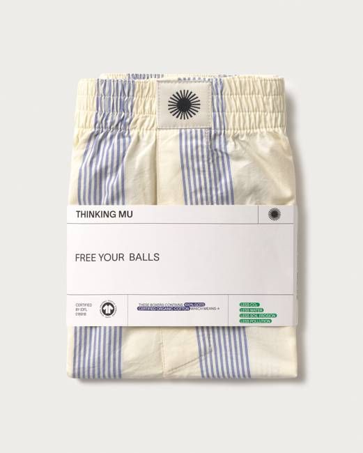 Blue striped poplin boxers