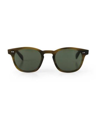 The Legend in Green Tortoise