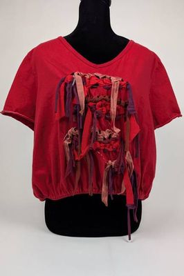 Red Woven Constance Wilde Upcycled Cropped Top