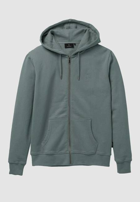 Recolution Birke