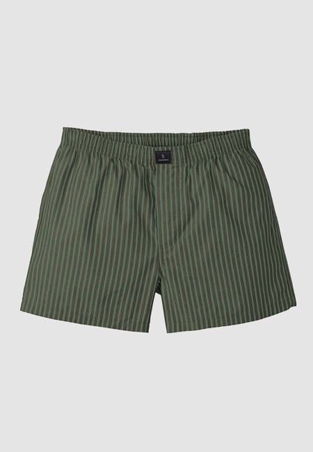 Recolution Amargo Stripes