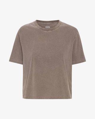 Organic Boxy Crop Tee - Faded Khaki