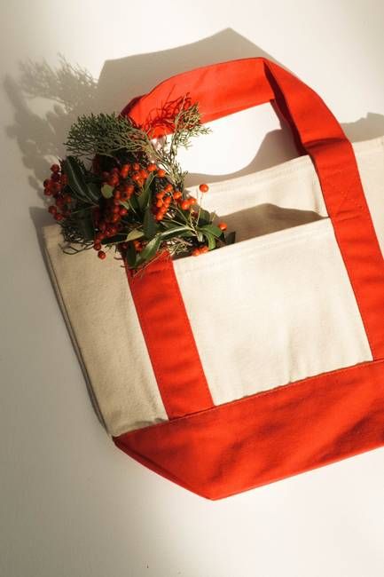 Mini Tote in Red