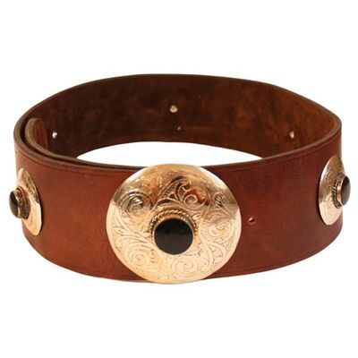 Brown Leather Belt with Metal Details