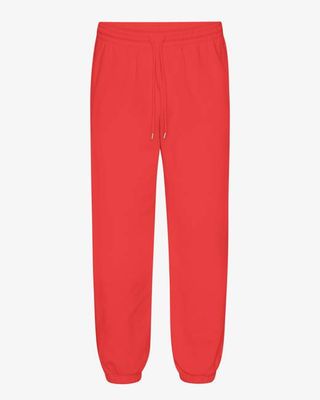 Organic Relaxed Sweatpants - Red Tangerine