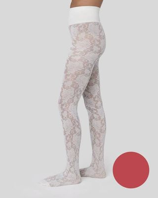 Lily Lace Tights