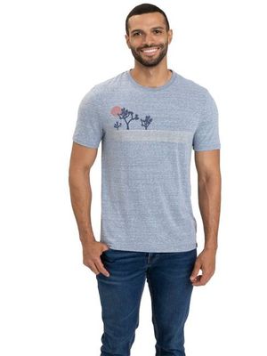 Triblend Graphic Tee