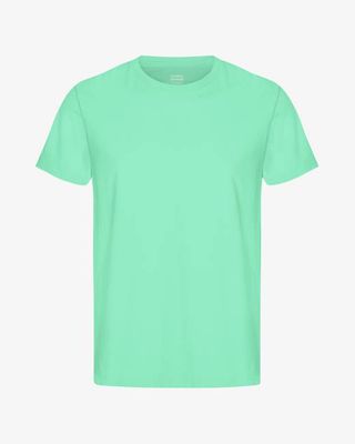 Classic Organic Tee - Spring Green