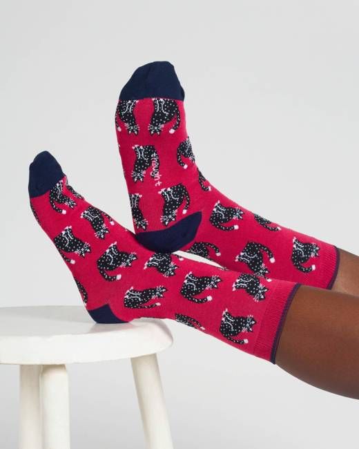 Purrfect Bamboo 2 Socks in a Bag - Pink/Blue Multi