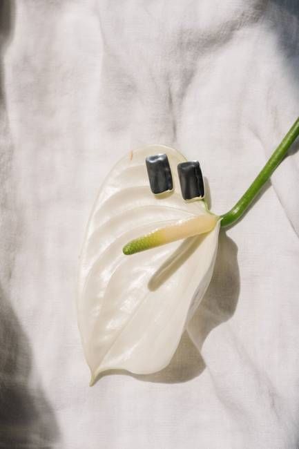 Electric Picks Supermodel Earrings Silver