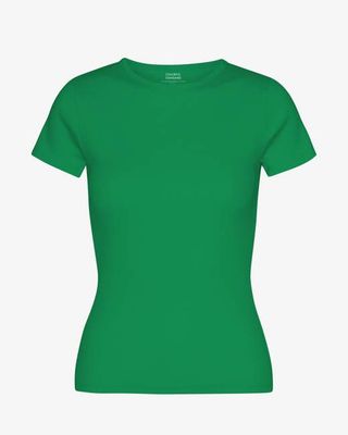 Organic Rib T-Shirt - Kelly Green