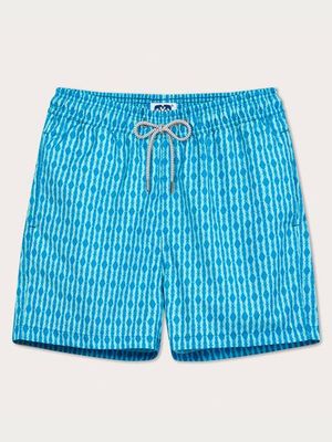 Men's Penguin Party Staniel Swim Shorts