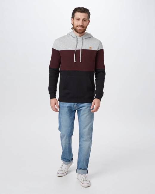 TreeFleece Blocked Reynard Hoodie