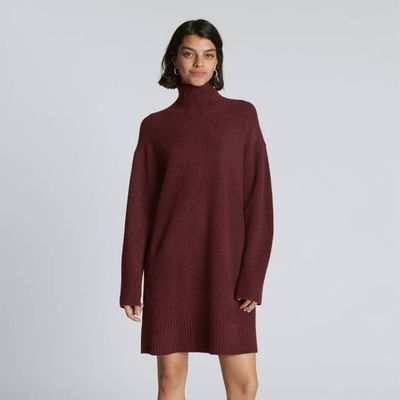 The Cozy Stretch Turtleneck Dress | Brandy