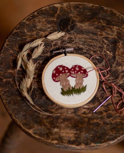 Mini Toadstool Embroidery Kit in Multi