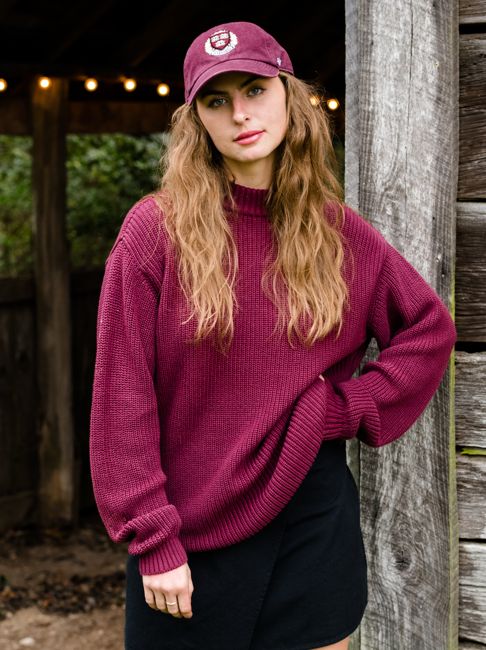 Alexandria Tunic Sweater